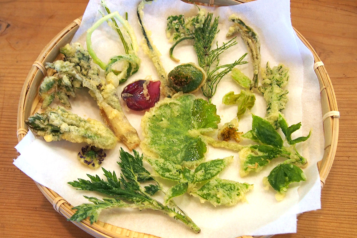 山菜 春の 人気の山菜10選！山菜の種類・特徴・おいしい食べ方マニュアル