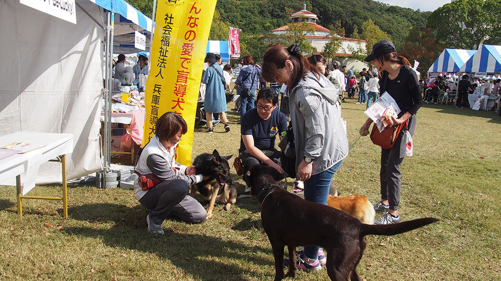 記事 神戸市動物愛護フェスティバルのアイキャッチ画像