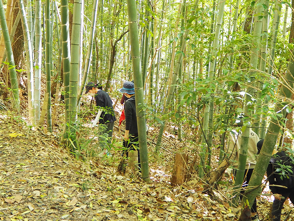 記事 「やさいハンターモニターイベント第1弾、山に埋まるたけのこを掘り当てろ！」　伊川谷駅南農園（西区伊川谷町のアイキャッチ画像