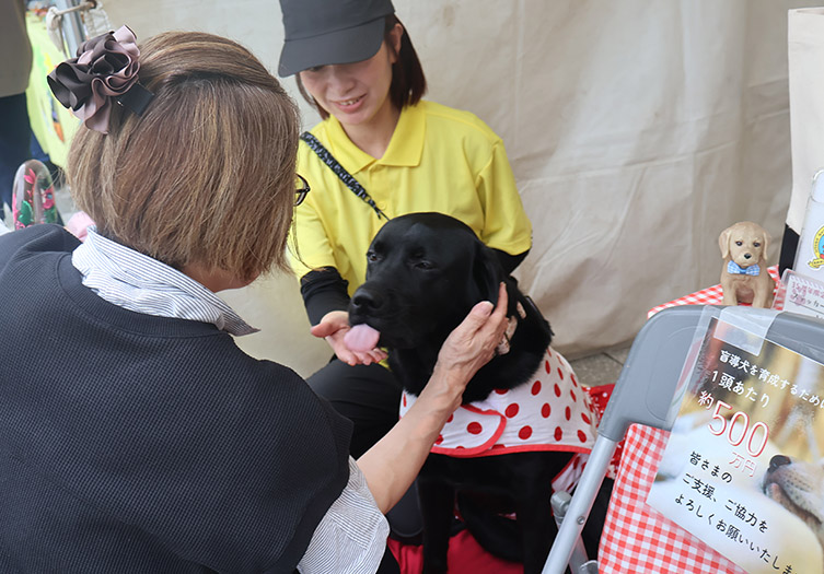 記事 西区健康・福祉フェア＆はっぴ～カーニバルのアイキャッチ画像