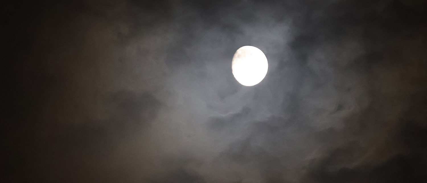 記事 離宮月見の宴のアイキャッチ画像