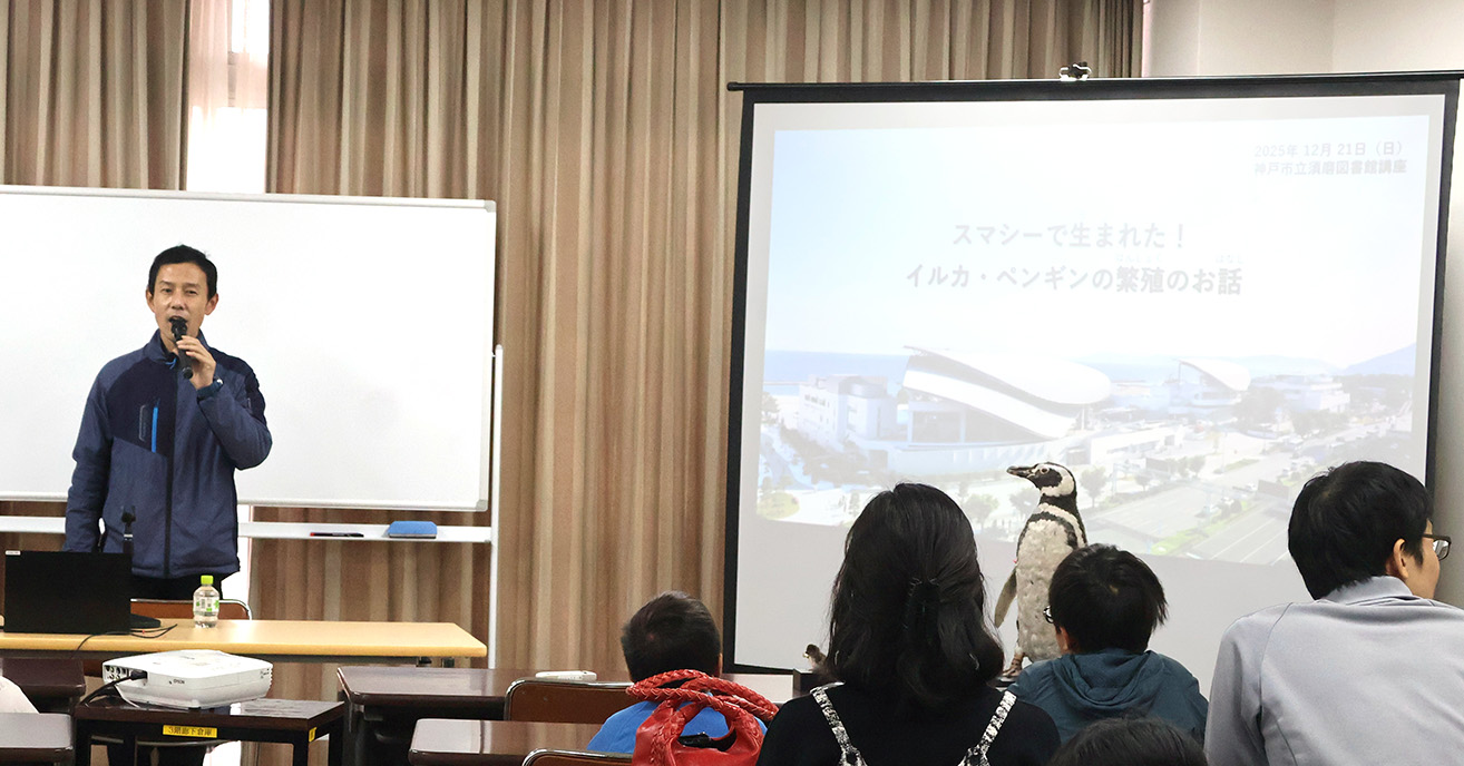 記事 スマシーで生まれた!イルカ・ペンギンの繁殖のお話のアイキャッチ画像