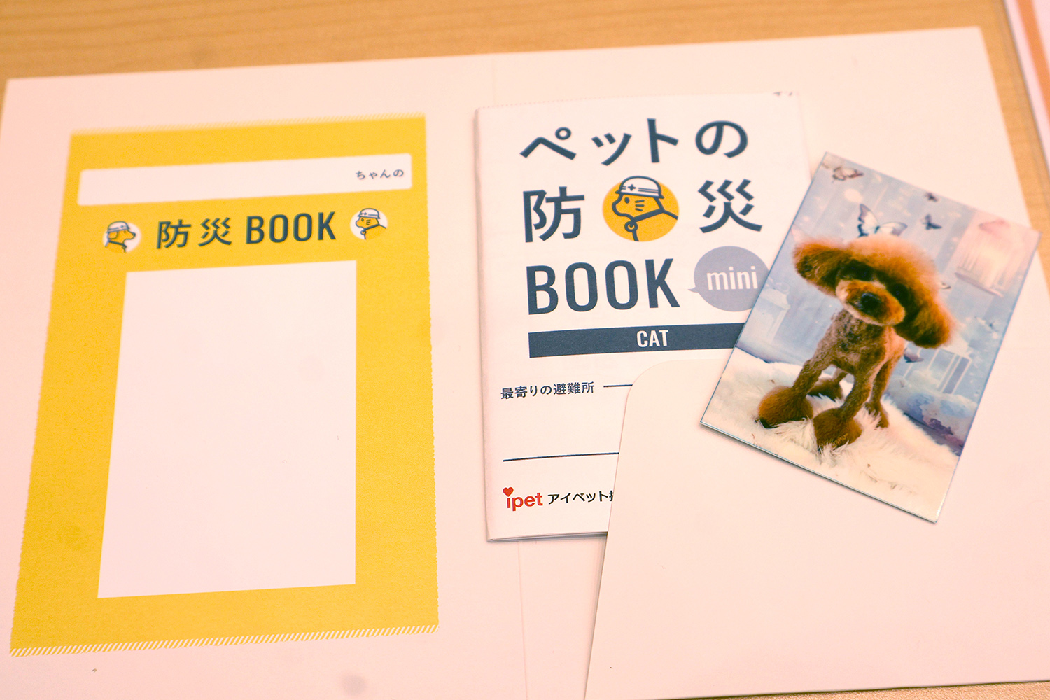 記事 ペット防災ワークショップのアイキャッチ画像