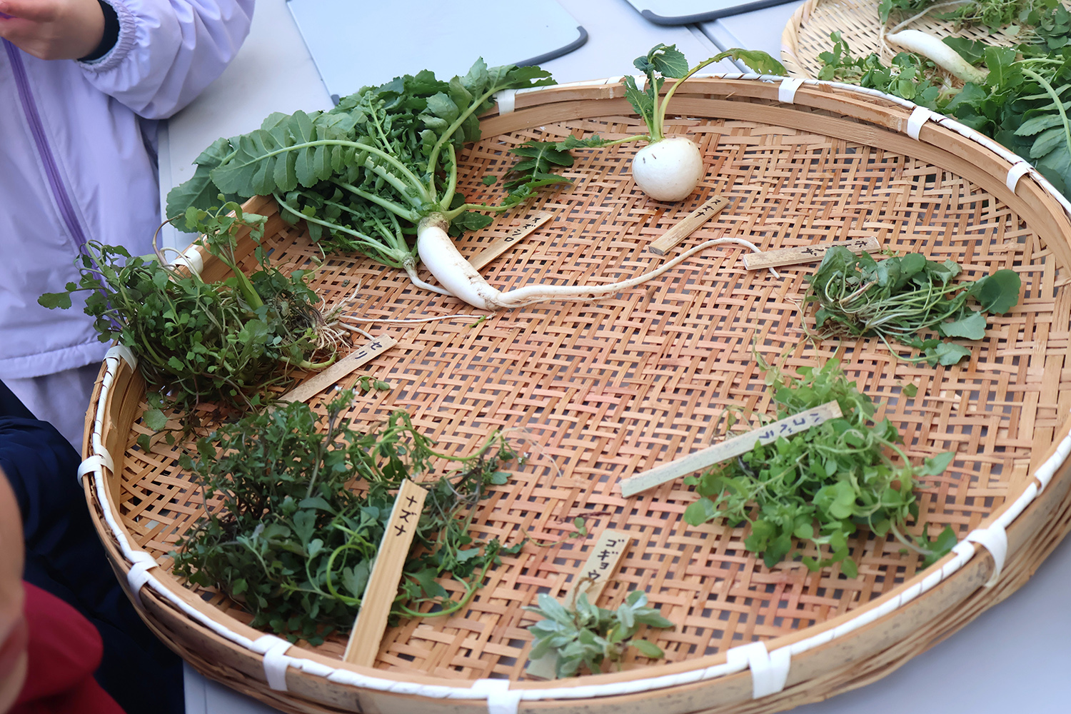 記事 旧暦で味わう、須磨の七草がゆのアイキャッチ画像