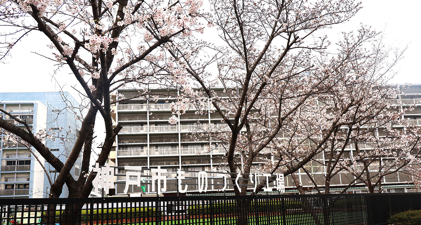 記事 お花見ものづくりマルシェのアイキャッチ画像